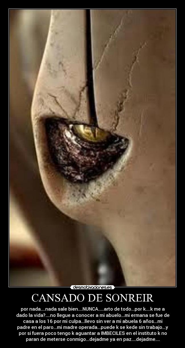 carteles grievous desmotivaciones