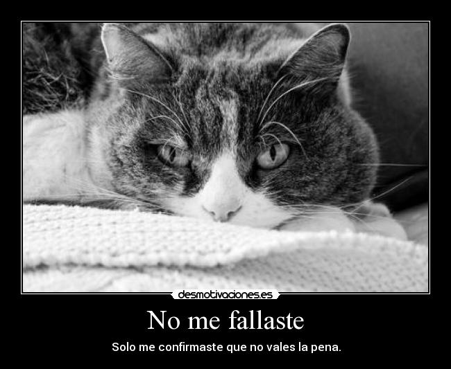 No me fallaste - 
