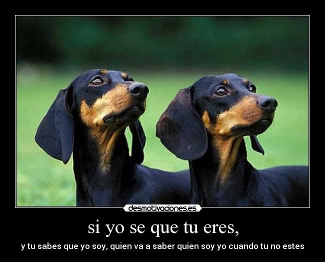 si yo se que tu eres, - y tu sabes que yo soy, quien va a saber quien soy yo cuando tu no estes