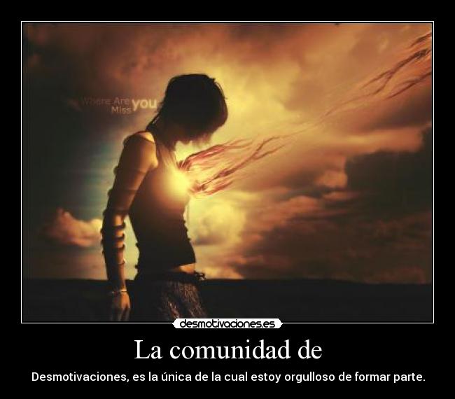 La comunidad de - Desmotivaciones, es la única de la cual estoy orgulloso de formar parte.