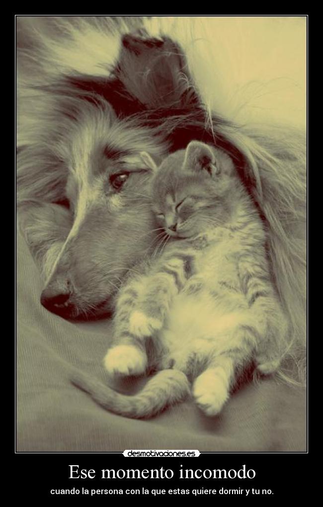 Ese momento incomodo - cuando la persona con la que estas quiere dormir y tu no.