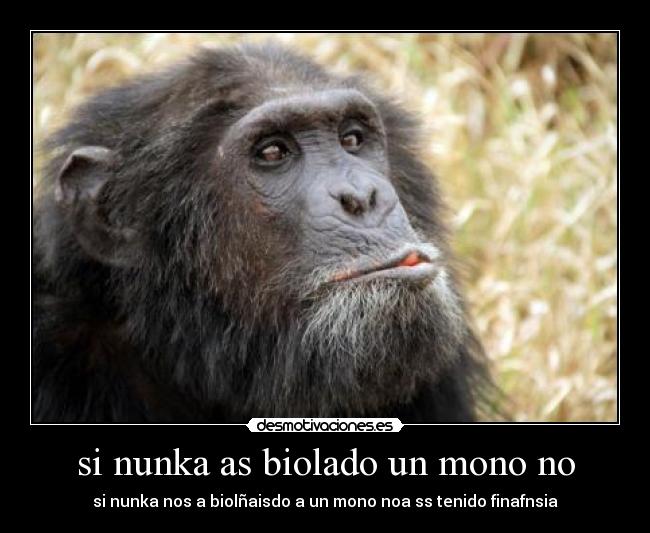 si nunka as biolado un mono no -