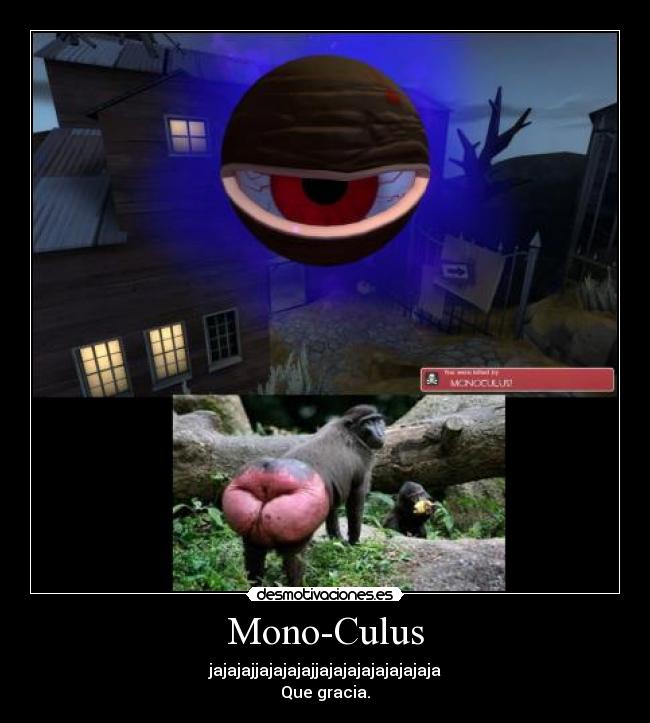Mono-Culus - jajajajjajajajajjajajajajajajajaja
Que gracia.