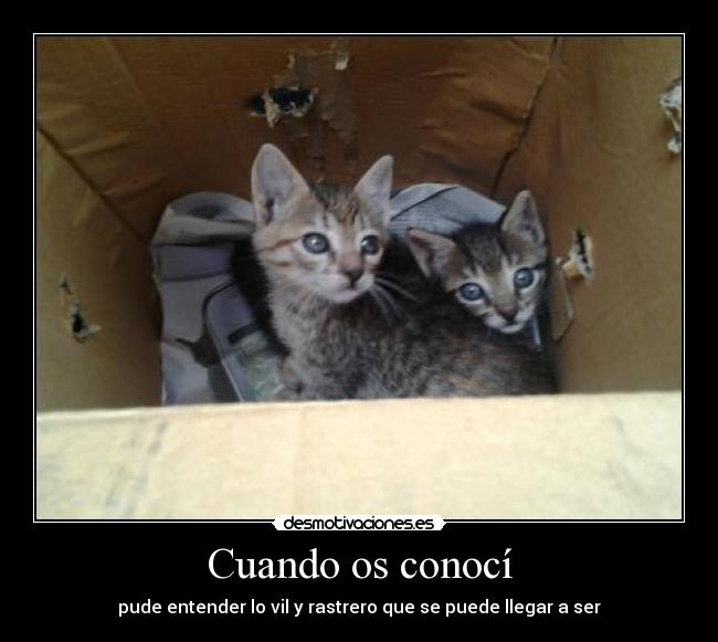 Cuando os conocí - pude entender lo vil y rastrero que se puede llegar a ser