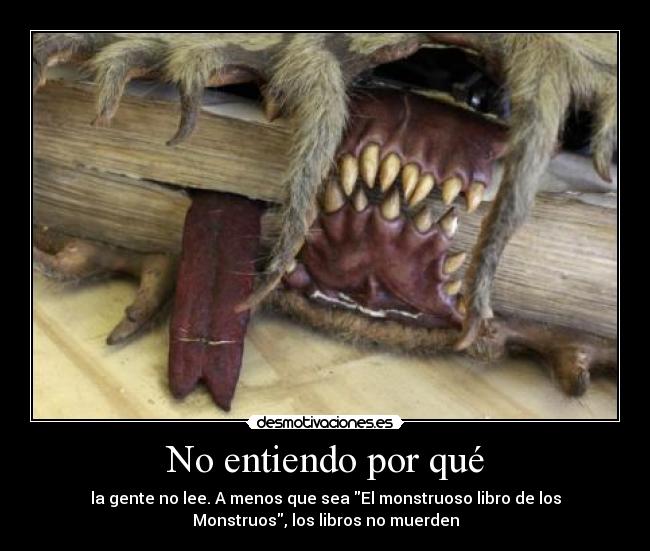 No entiendo por qué - 