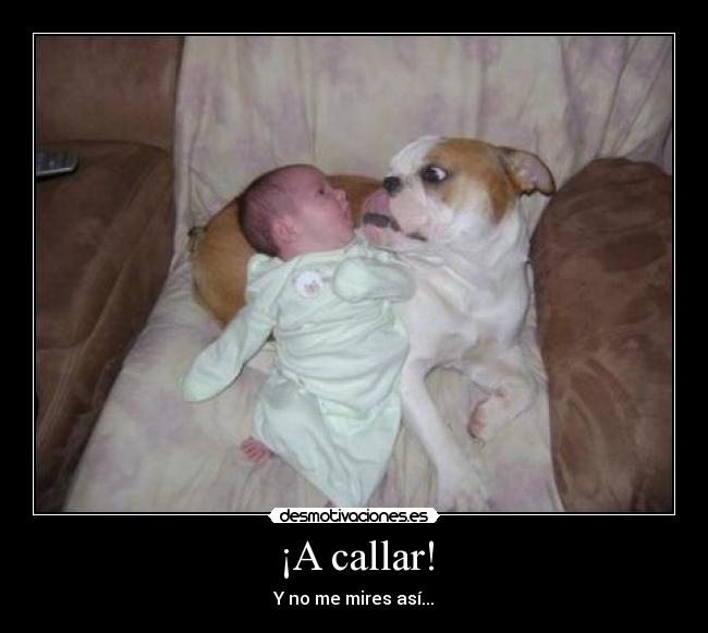 ¡A callar! - Y no me mires así...