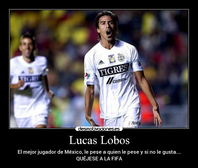 carteles lucas lobos mejor mexico tigres uanl desmotivaciones
