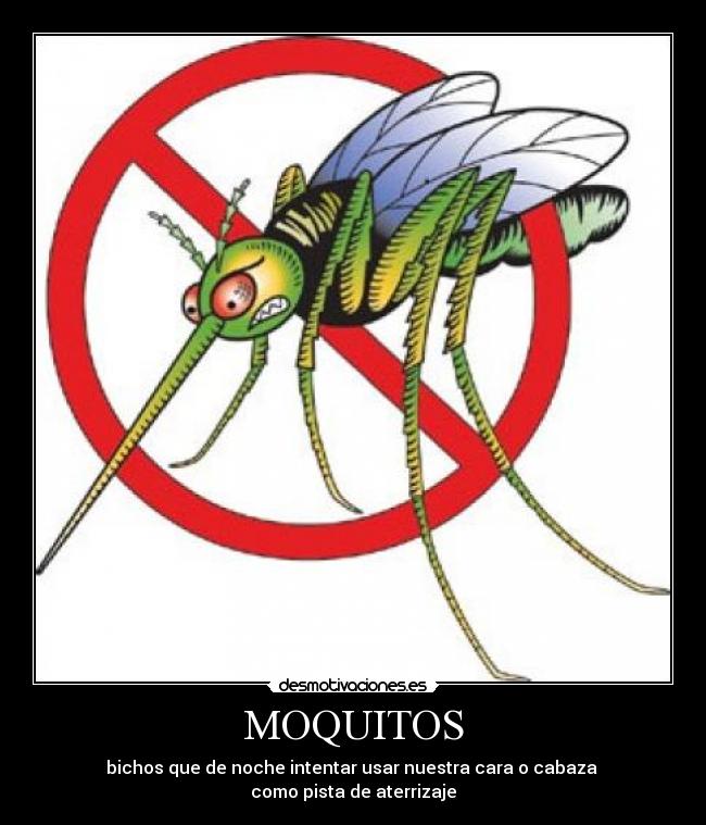 carteles dalle jas laura desmotivaciones