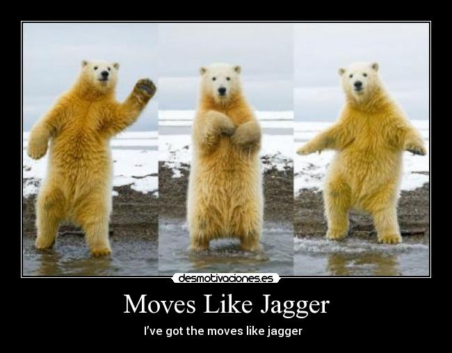 carteles oso desmotivaciones