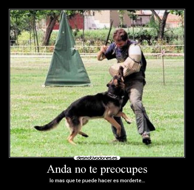 Anda no te preocupes - lo mas que te puede hacer es morderte...