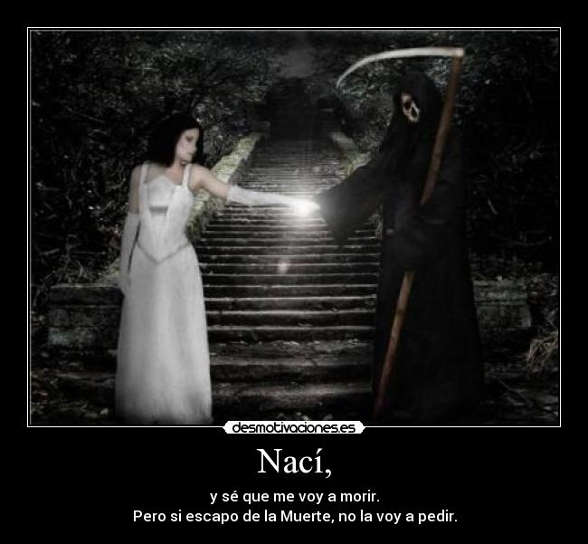 carteles tk73 vida muerte desmotivaciones