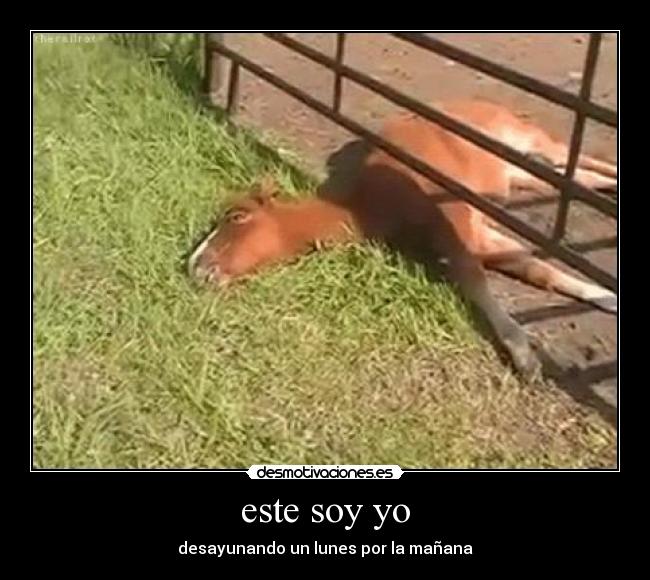 este soy yo - desayunando un lunes por la mañana