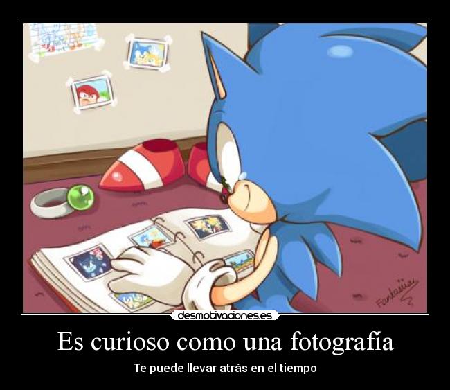 Es curioso como una fotografía -