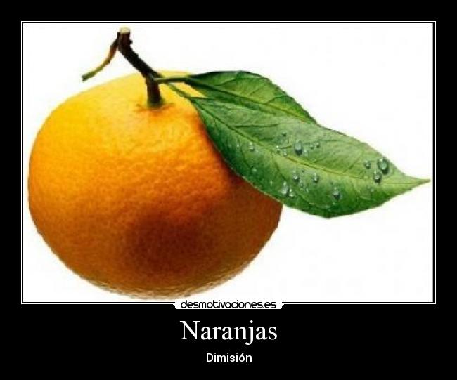 Naranjas - Dimisión