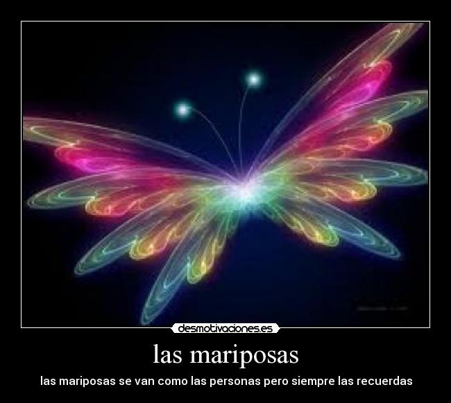 las mariposas - las mariposas se van como las personas pero siempre las recuerdas