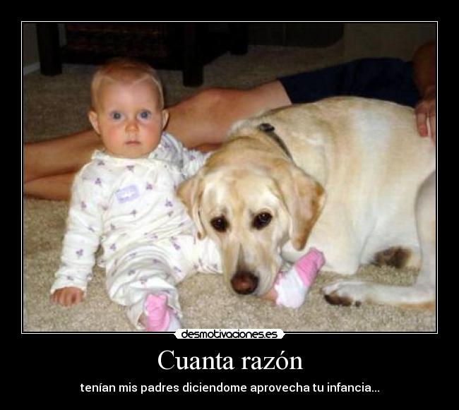 carteles  desmotivaciones