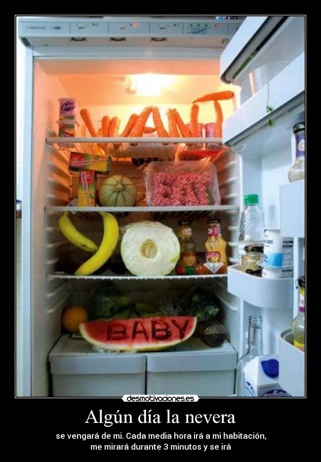 Algún día la nevera - 
