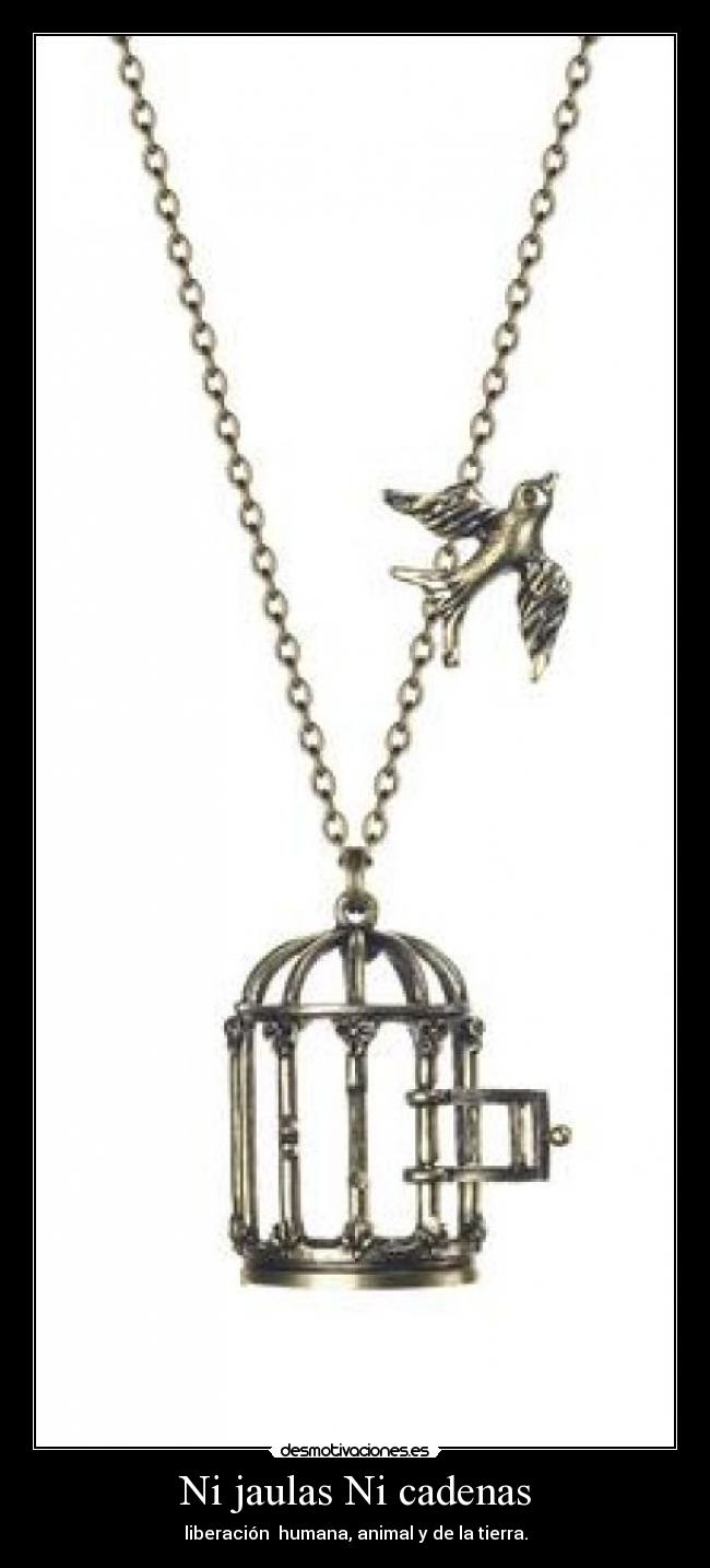 Ni jaulas Ni cadenas - liberación  humana, animal y de la tierra.