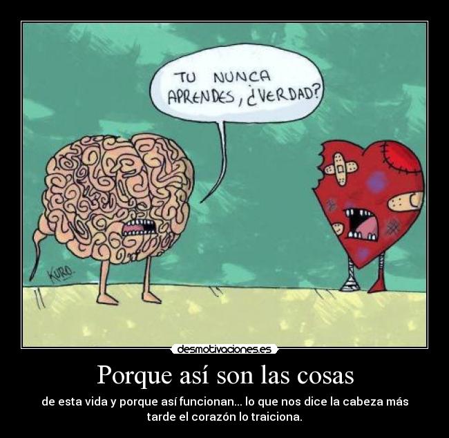 Porque así son las cosas - de esta vida y porque así funcionan... lo que nos dice la cabeza más
tarde el corazón lo traiciona.
