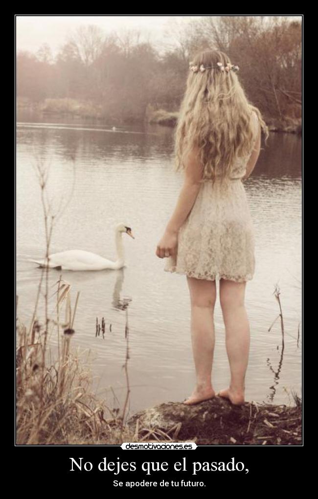 carteles pasado chica cisne lago lindo modelo dejar pasado robar futuro apoderar poder vida adolescente desmotivaciones