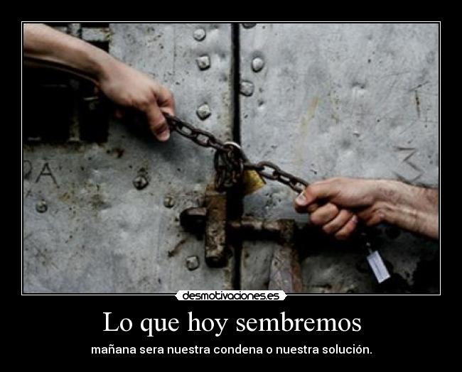 Lo que hoy sembremos -