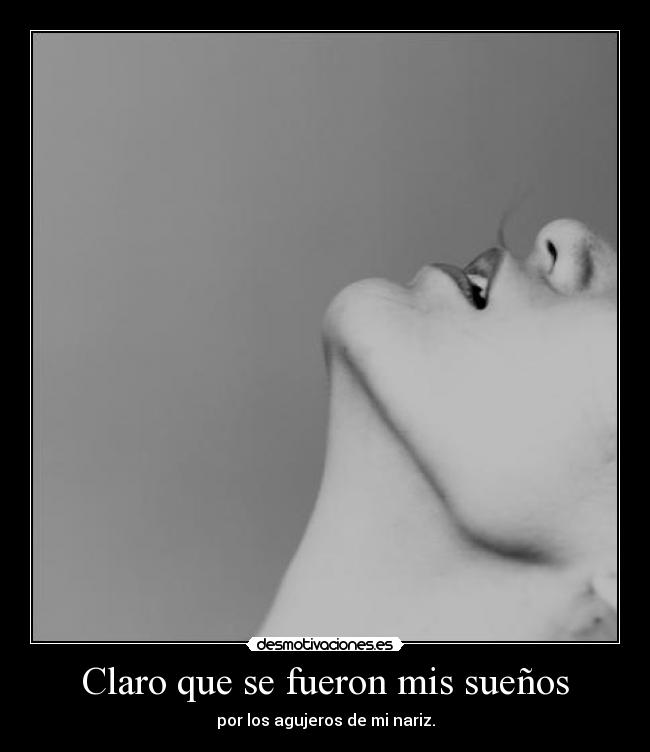 Claro que se fueron mis sueños - por los agujeros de mi nariz.