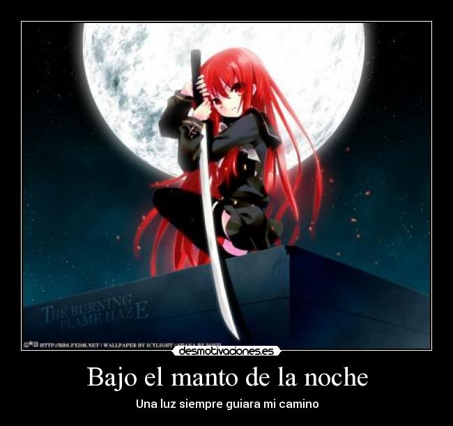 Bajo el manto de la noche - 