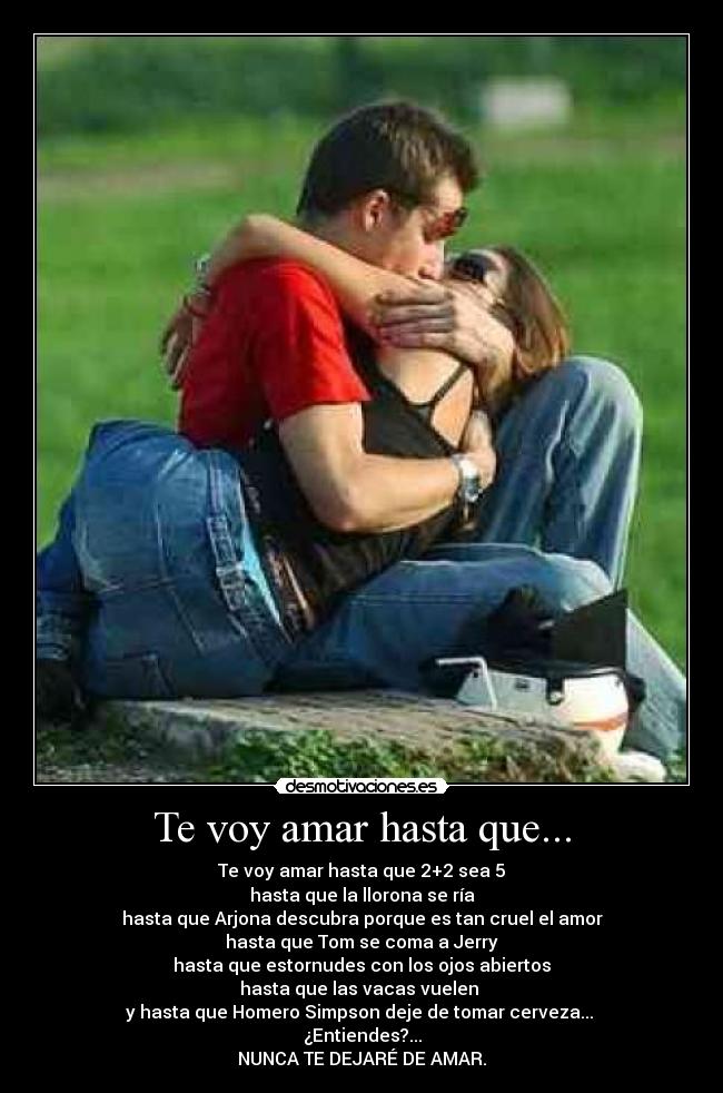 Te voy amar hasta que... -