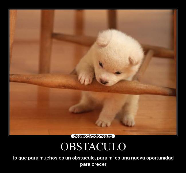 carteles obstaculo desmotivaciones