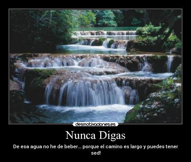 Nunca Digas -