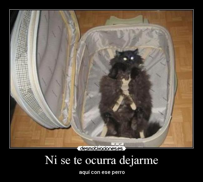 Ni se te ocurra dejarme - 