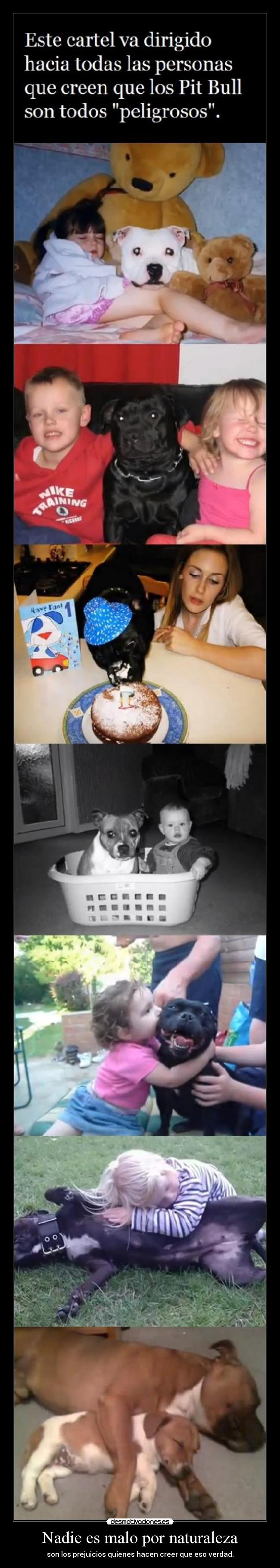 Nadie es malo por naturaleza - son los prejuicios quienes hacen creer que eso verdad.