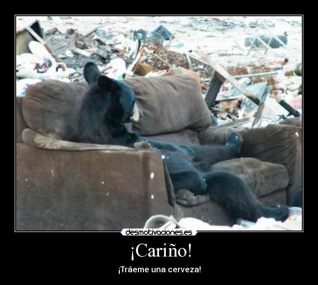 ¡Cariño! - ¡Tráeme una cerveza!