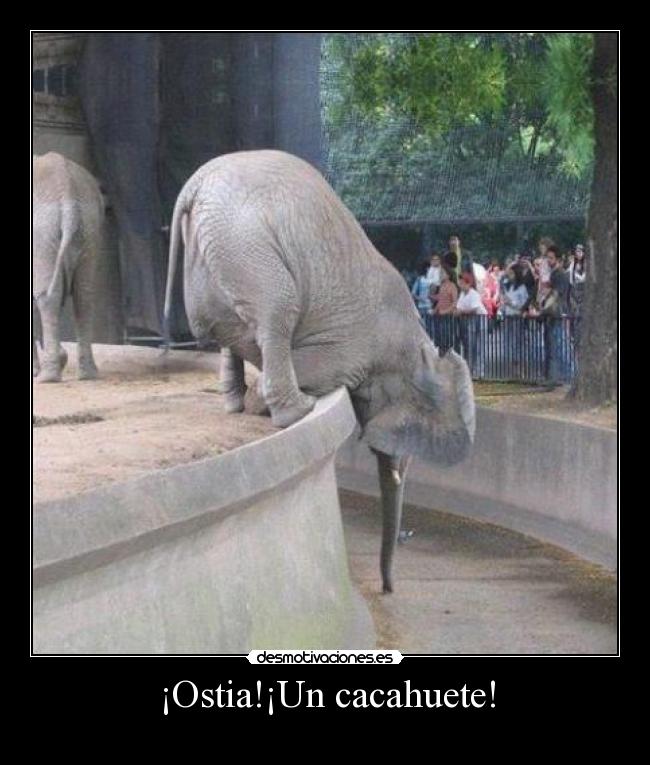 ¡Ostia!¡Un cacahuete! - 