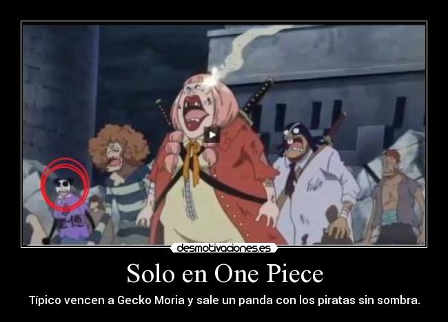 Solo en One Piece - Típico vencen a Gecko Moria y sale un panda con los piratas sin sombra.