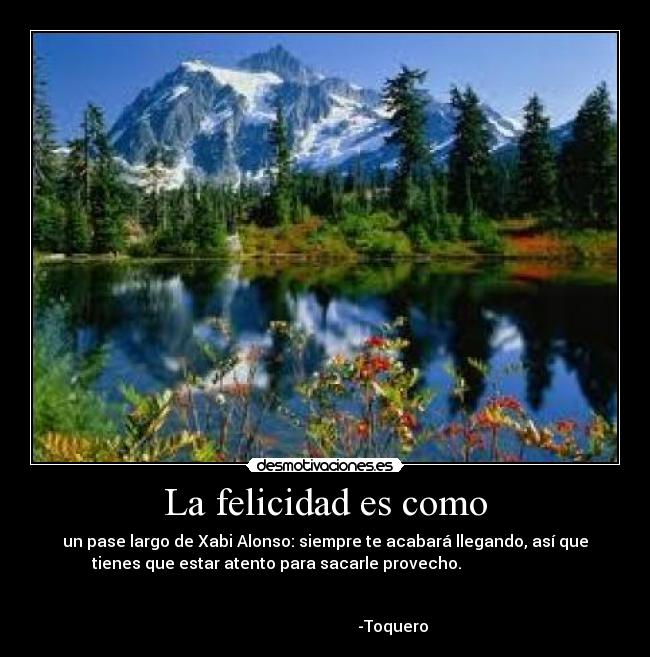 La felicidad es como - un pase largo de Xabi Alonso: siempre te acabará llegando, así que
tienes que estar atento para sacarle provecho.                        
 
                                                                      
                                  -Toquero