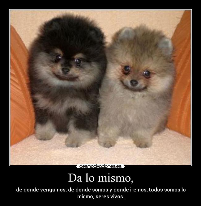 Da lo mismo, - de donde vengamos, de donde somos y donde iremos, todos somos lo
mismo, seres vivos.