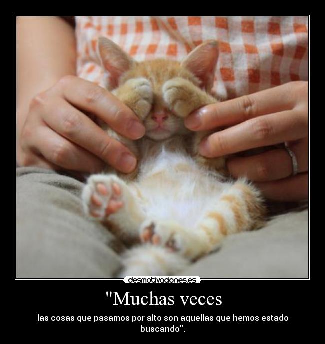 carteles libro referencia culpa vaca esa que hace muuu lolailo esquesomostonticos desmotivaciones