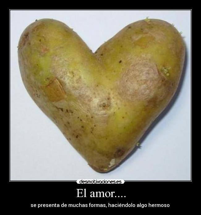 El amor.... - se presenta de muchas formas, haciéndolo algo hermoso