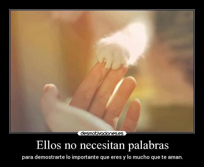 Ellos no necesitan palabras - para demostrarte lo importante que eres y lo mucho que te aman.