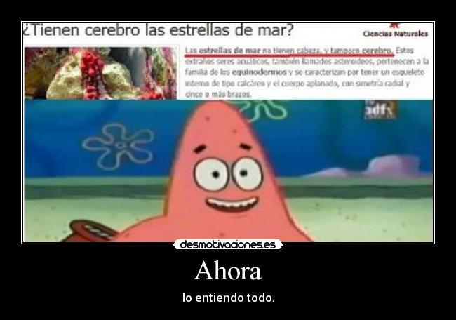 Ahora - lo entiendo todo.