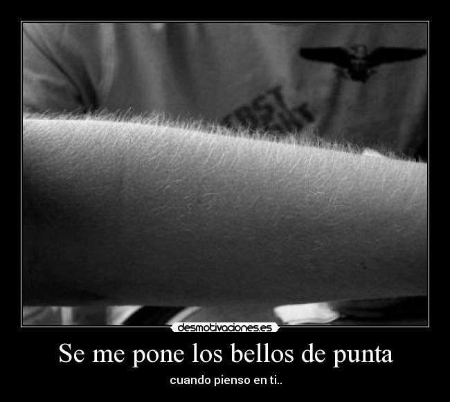 Se me pone los bellos de punta - cuando pienso en ti..