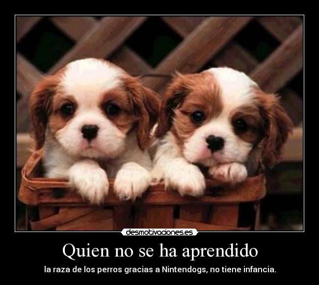 Quien no se ha aprendido - 