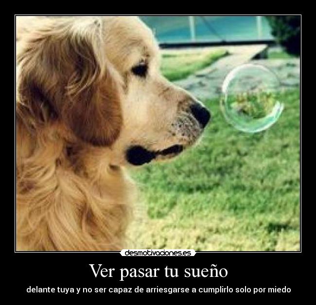 Ver pasar tu sueño - 