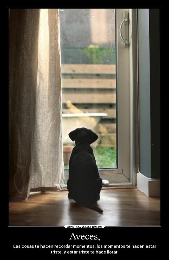 Aveces, - Las cosas te hacen recordar momentos, los momentos te hacen estar
triste, y estar triste te hace llorar.