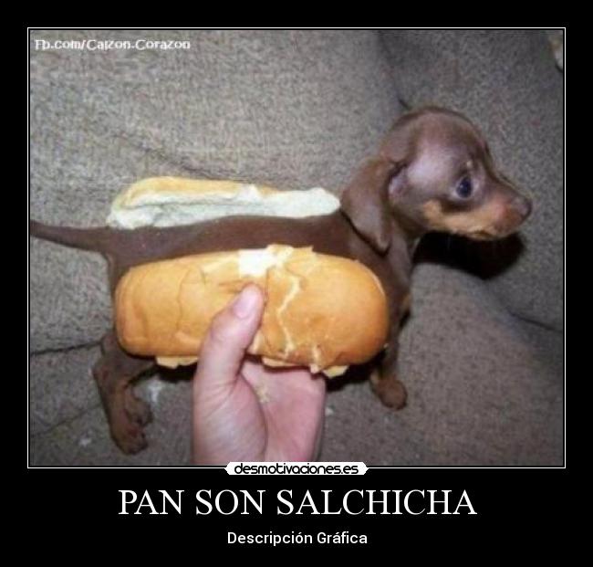 PAN SON SALCHICHA -