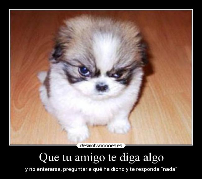 Que tu amigo te diga algo -