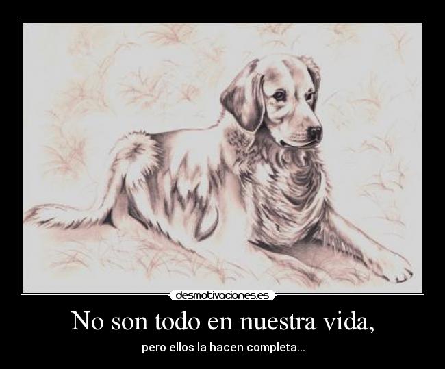 No son todo en nuestra vida, - pero ellos la hacen completa...