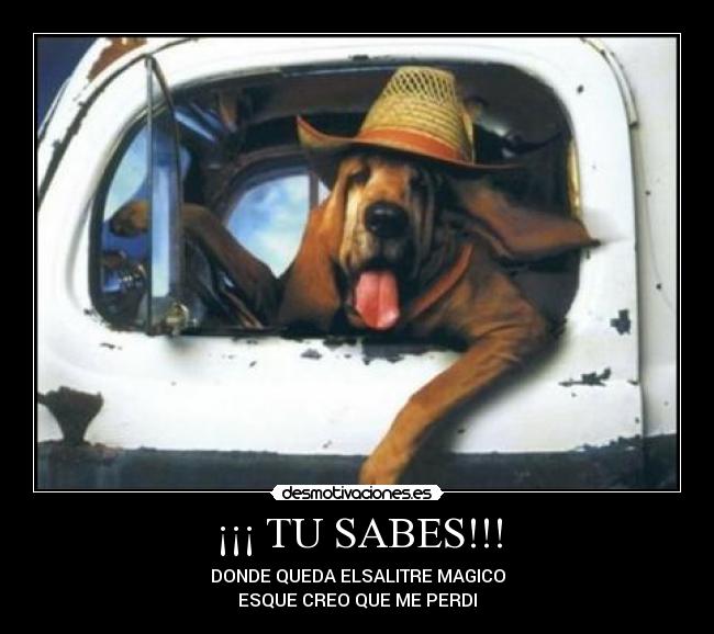 carteles santiago galvis romero desmotivaciones