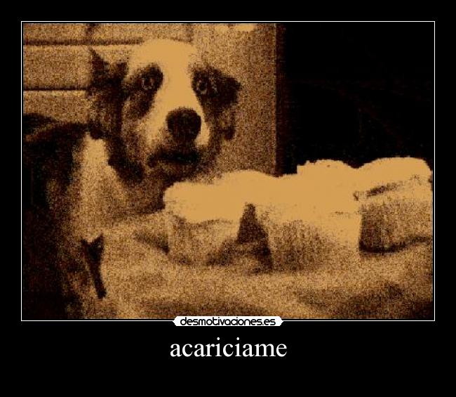 acariciame -
